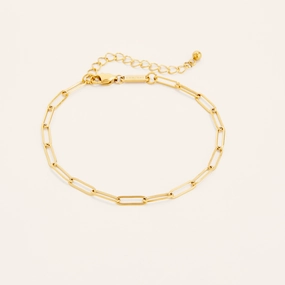 Essential Link Chain Anklet